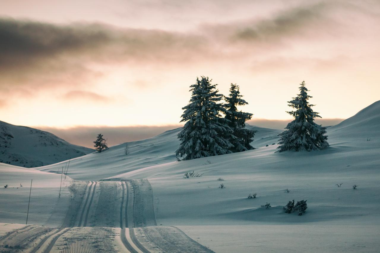 Rondane Hytter Og Leiligheter Otta Dış mekan fotoğraf